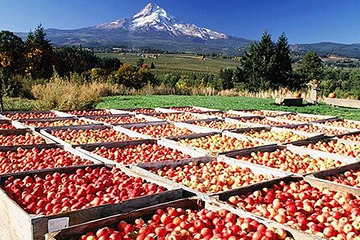 Children's activities