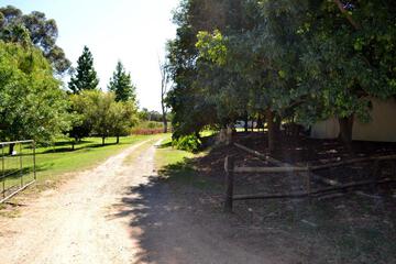 Photo 35
