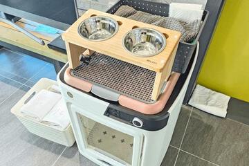 Photo 19