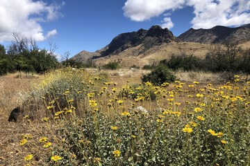 Land view from property