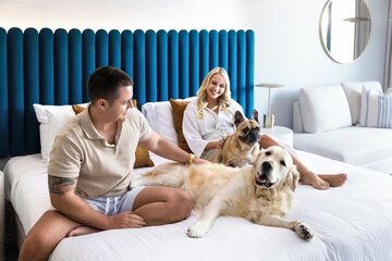 Pet-friendly
