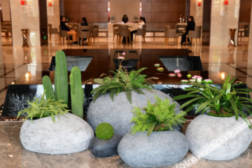 Hotel Interior or Public Areas