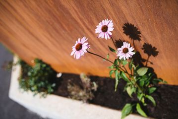 Sundeck
