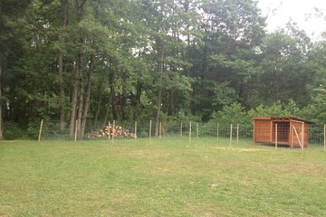 BBQ/picnic area