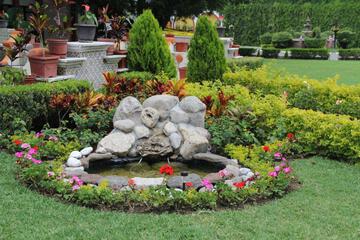 Photo 35