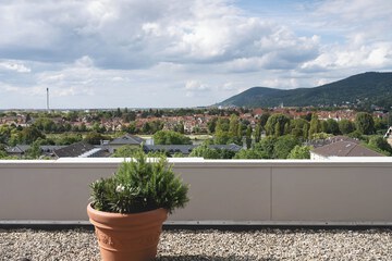 Rooftop terrace