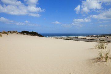 Land view from property