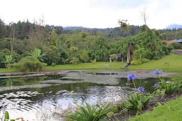 Lake