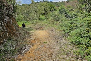 Hiking