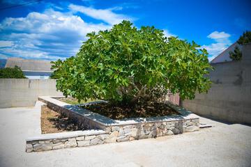 Photo 62