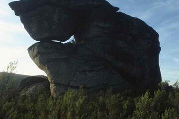 Photo 33