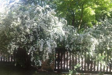Photo 34