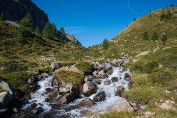 Photo 49