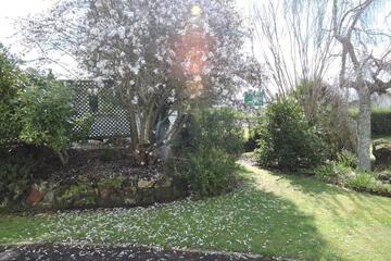 Photo 29