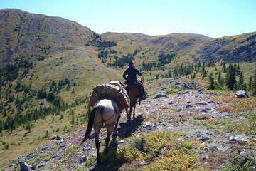 Horseback riding