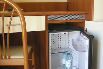 Mini-refrigerator