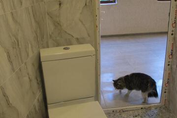 Photo 51