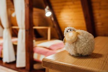 Photo 44