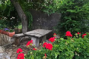 Photo 66