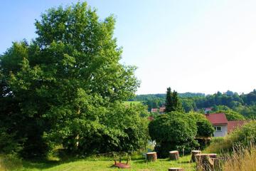Photo 48
