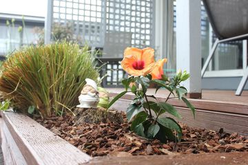 Sundeck