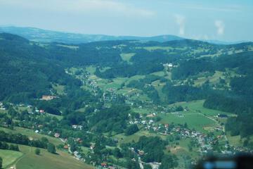 Photo 42