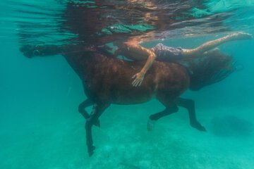 Horseback riding