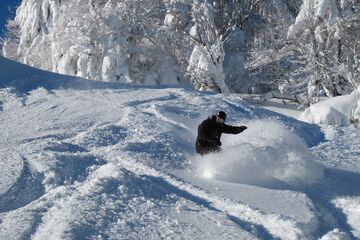 Snowboarding