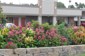 Red Carpet Inn