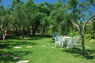 Photo 46
