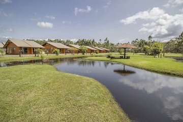 Lake view