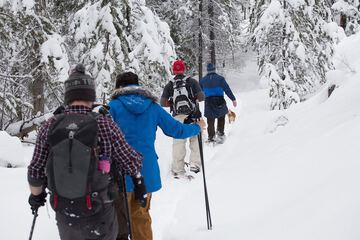 Snowshoeing