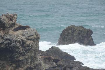 Photo 57
