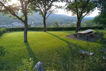Photo 40