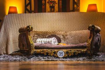Pet-friendly amenities