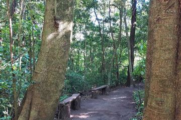 Hiking