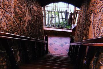 Photo 49