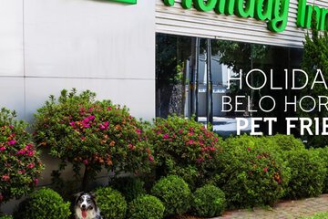 Pet-friendly