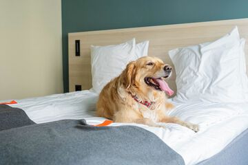Pet-friendly
