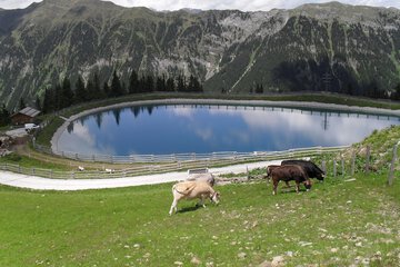 Lake