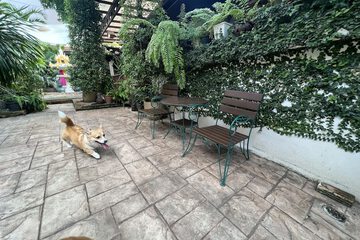 Pet-friendly
