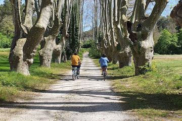 Bicycling