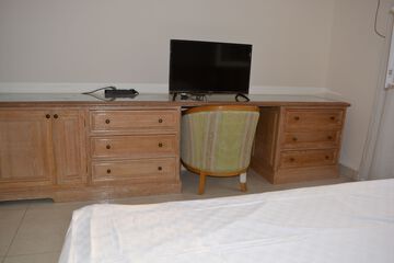 Television