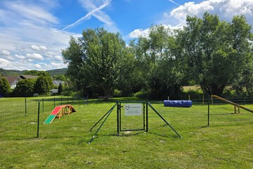 Pet-friendly amenities