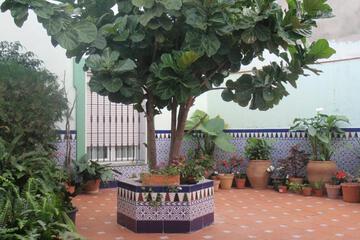 Photo 35