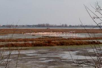 Lake
