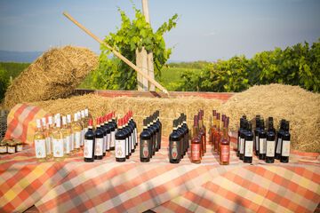 Winery