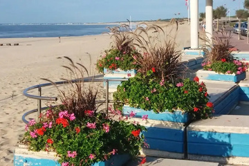 beach