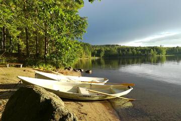 Photo 41