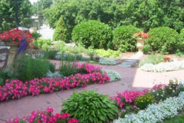 Photo 8